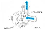Pandhuan Pump Pump Pump