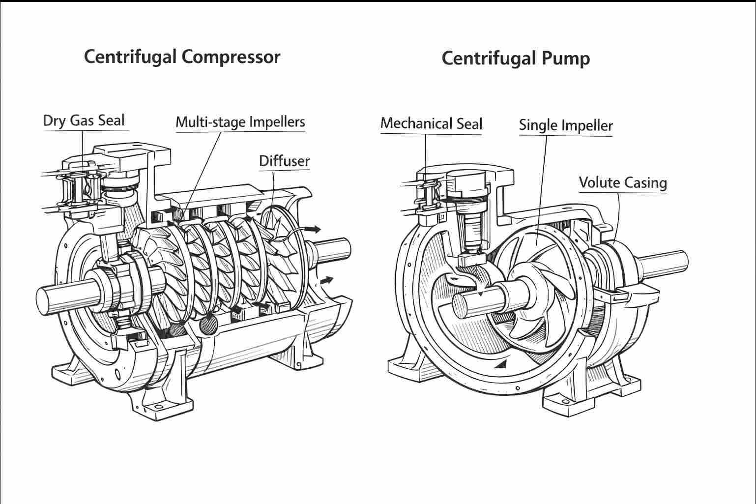 internal structure